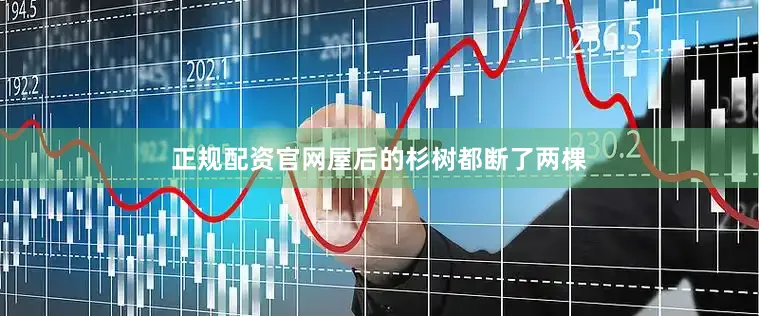 正规配资官网屋后的杉树都断了两棵