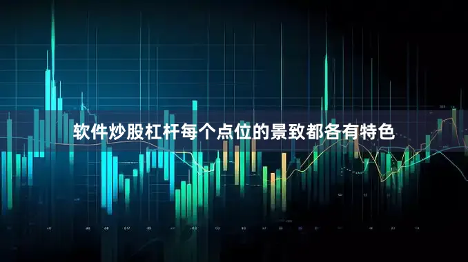 软件炒股杠杆每个点位的景致都各有特色