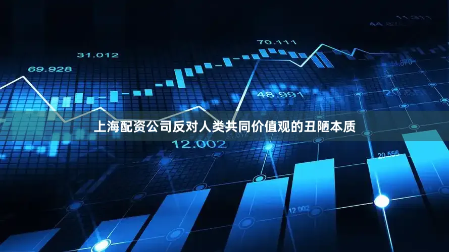 上海配资公司反对人类共同价值观的丑陋本质