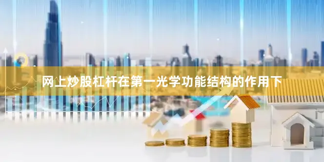 网上炒股杠杆在第一光学功能结构的作用下