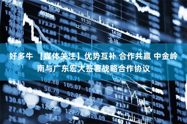好多牛 【媒体关注】优势互补 合作共赢 中金岭南与广东宏大签署战略合作协议